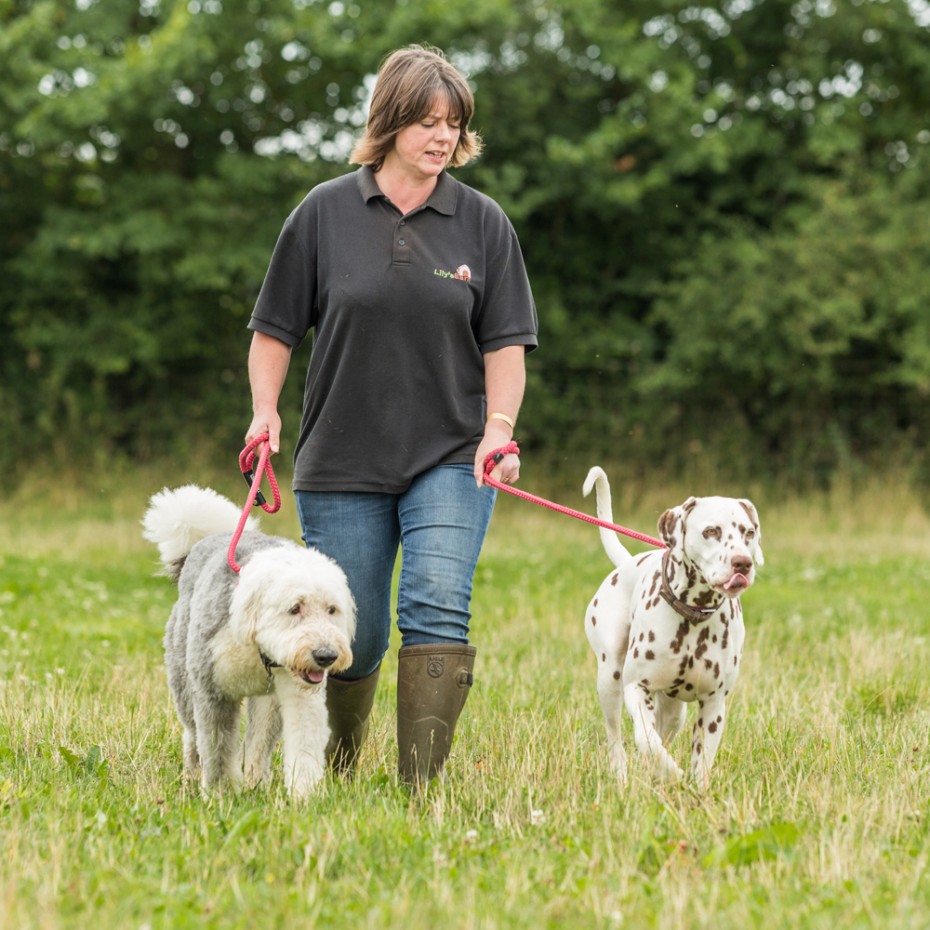 Home:square:walk 1000px